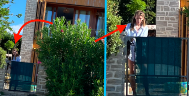 Supruga Šeksovog posinka, kojem su češljali imovinu, čuva stražu ispred njihove jadranske vile, dok se drugi kupaju u moru ili lavoru ona samo u bazenu